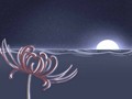 风水学中的“负阴抱阳”的意思：背负高山，面对江河