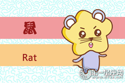 第一运程 2018年十二生肖周运12.3-12.9