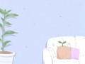 野蔷薇花图片，野蔷薇有什么特殊含义