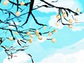 花语大全：蔷薇和玫瑰的花语各是什么