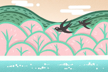 今年几点打春 2019年什么时候打春