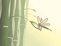 生肖时辰：戌时属什么？