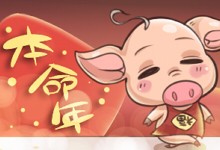 猪年本命年