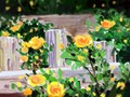 2017年4月19日：妈祖天后诞辰1057周年