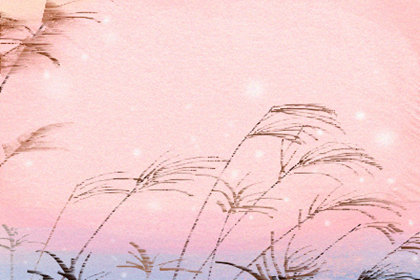 桃花运测试