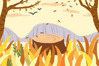 搬家吉日 2019年11月30日搬家好吗