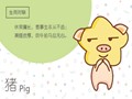 金猪年多少年遇一次：60年一个轮回