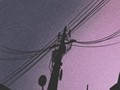 夏季养生茶有哪些？让你清凉一夏