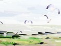 成功励志故事：用成功事实证明一切