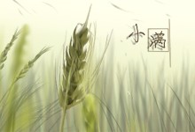 小满