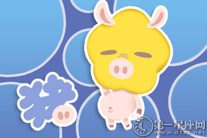 属猪如何判断一段感情有没有未来