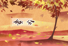 秋分
