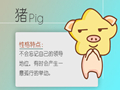 属猪本命年要注意什么