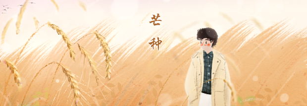 芒种