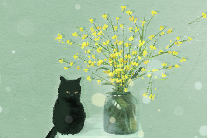 2019年立春要注意的事项