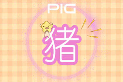 几月份的猪宝宝好