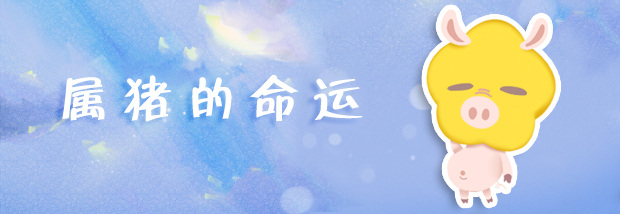 属猪的命运