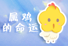 属鸡的命运