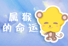 属猴的命运