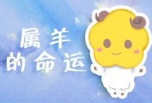 属羊的命运