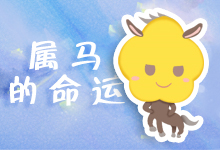 属马的命运