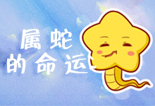 属蛇的命运