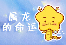 属龙的命运
