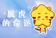 属虎的命运