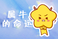 属牛的命运