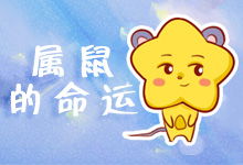 属鼠的命运