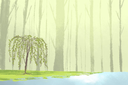 2019年植树节是哪一天