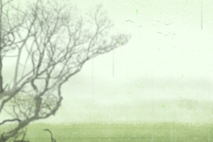 2019小满节气的具体时间