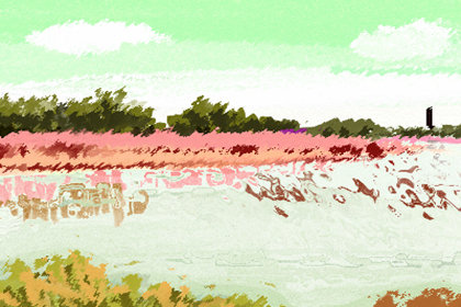 2019阳历7月适合动土的吉日