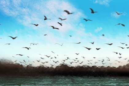 2019年12月份开业黄道吉日