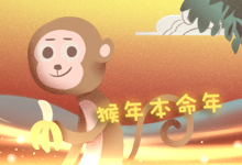 猴年本命年