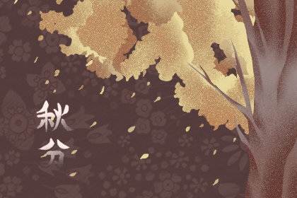 秋分是哪天2019 是什么节