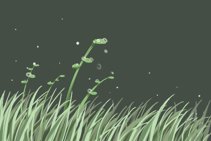 2020年有多少天 366天