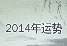 2014年运势