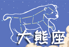 大熊座