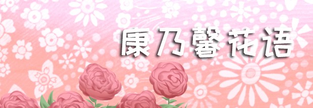 康乃馨花语