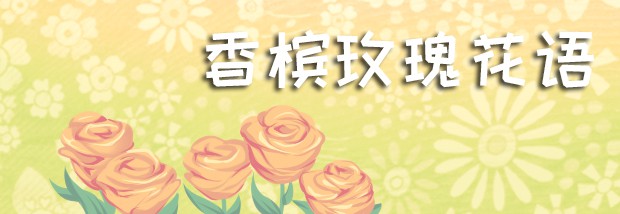 香槟玫瑰花语