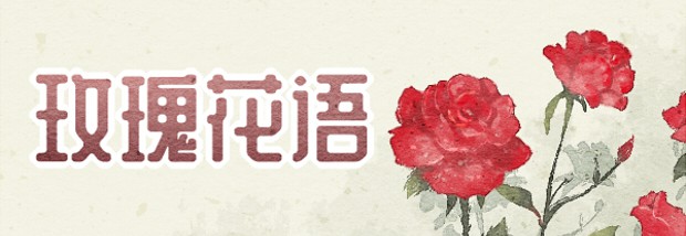 玫瑰花语