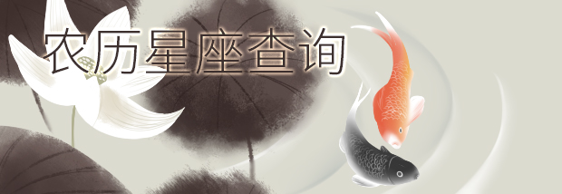 农历星座查询