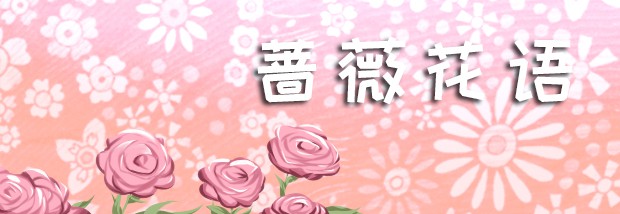 蔷薇花语