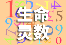 生命灵数