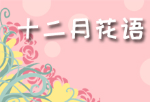 十二月花语