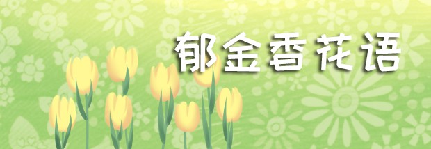 郁金香花语
