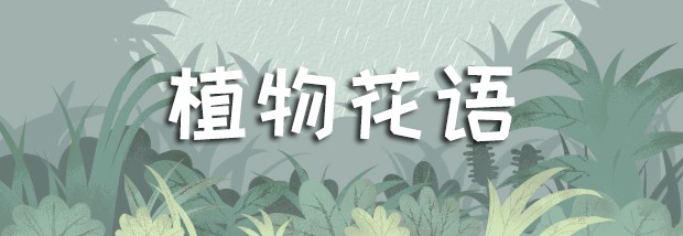 植物花语