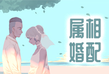 属相婚配