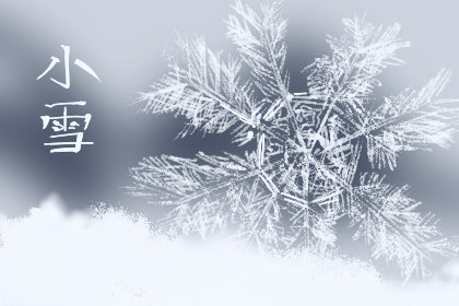 2020年小雪是几月几日